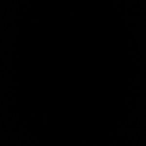 Meet your Posher, Prince